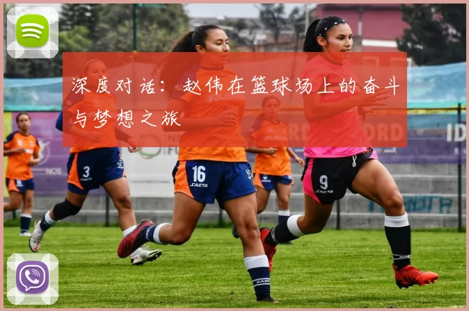 深度对话：赵伟在篮球场上的奋斗与梦想之旅