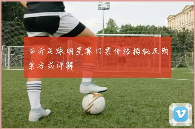 临沂足球明星赛门票价格揭秘及购票方式详解