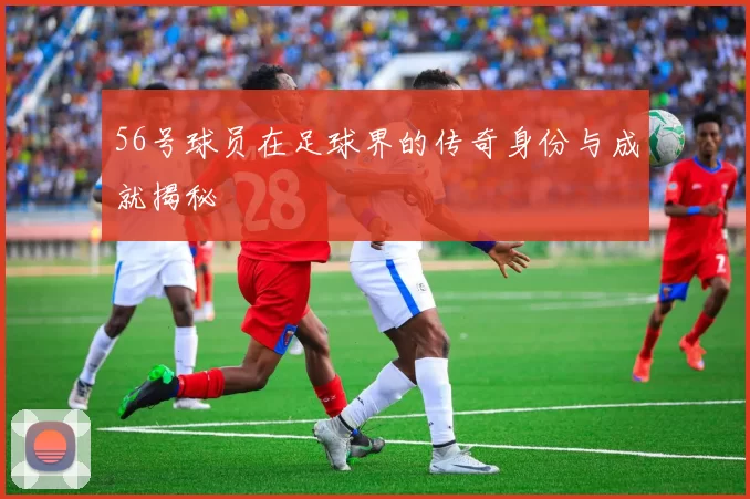 56号球员在足球界的传奇身份与成就揭秘
