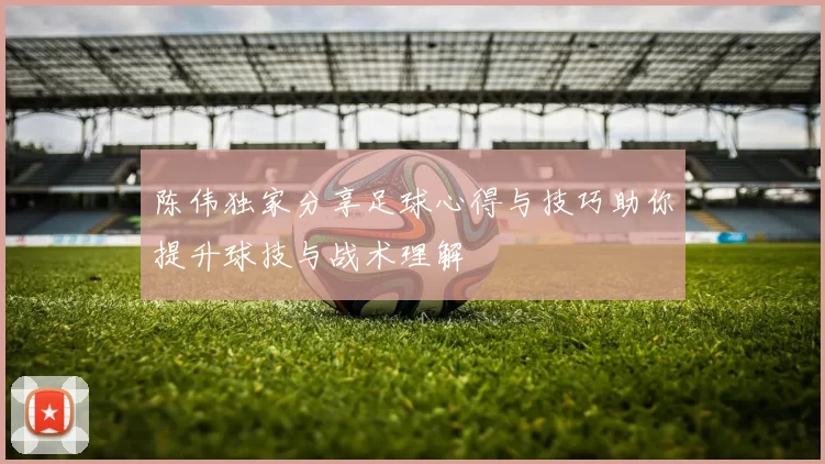 陈伟独家分享足球心得与技巧助你提升球技与战术理解