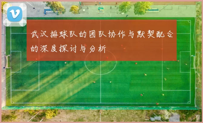 武汉排球队的团队协作与默契配合的深度探讨与分析