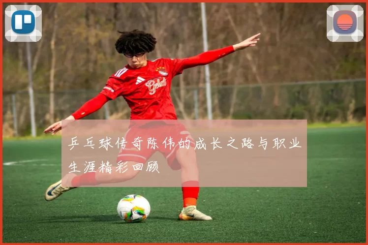 乒乓球传奇陈伟的成长之路与职业生涯精彩回顾