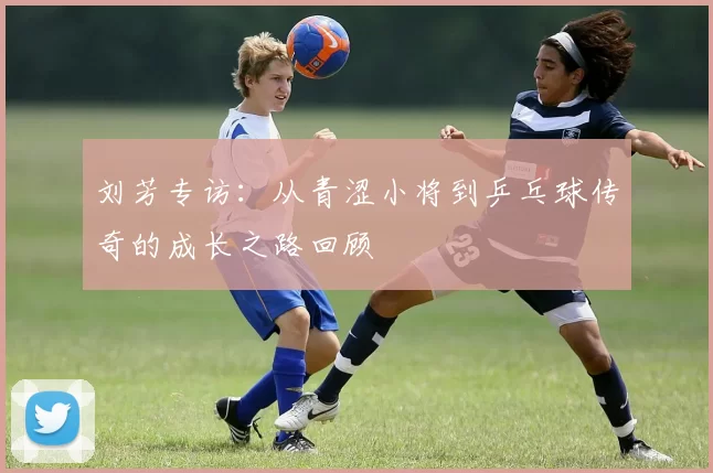 刘芳专访：从青涩小将到乒乓球传奇的成长之路回顾