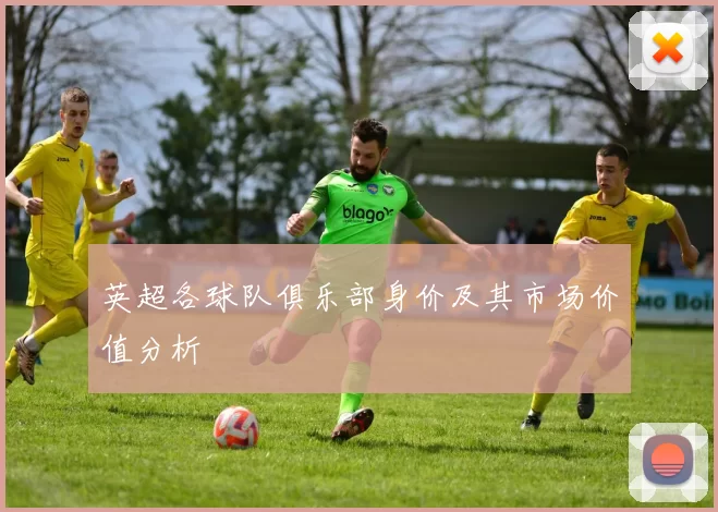 英超各球队俱乐部身价及其市场价值分析