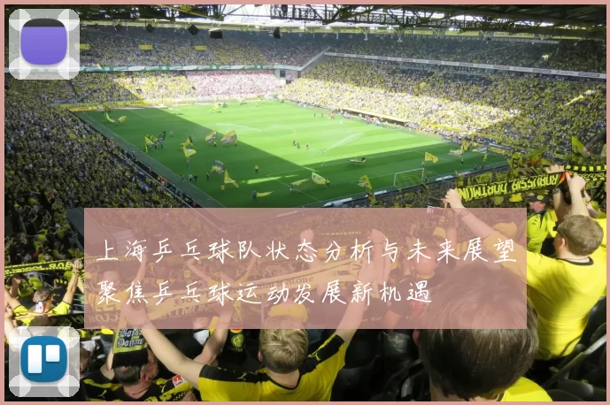 上海乒乓球队状态分析与未来展望聚焦乒乓球运动发展新机遇