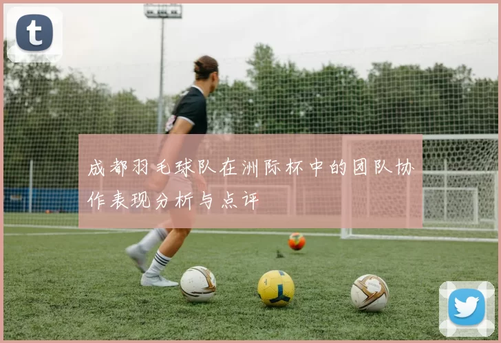 成都羽毛球队在洲际杯中的团队协作表现分析与点评