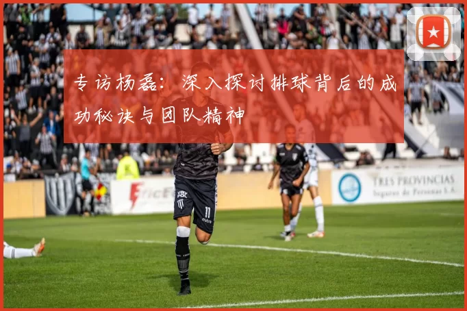 专访杨磊：深入探讨排球背后的成功秘诀与团队精神