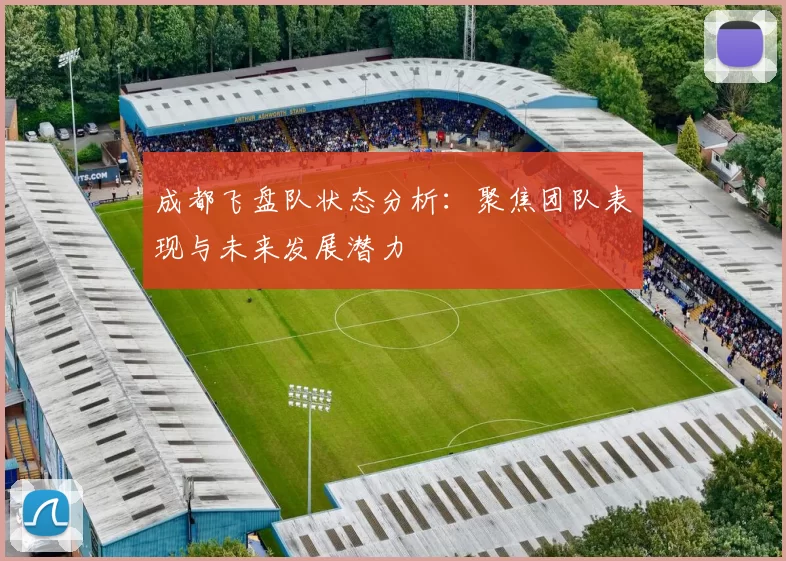 成都飞盘队状态分析：聚焦团队表现与未来发展潜力