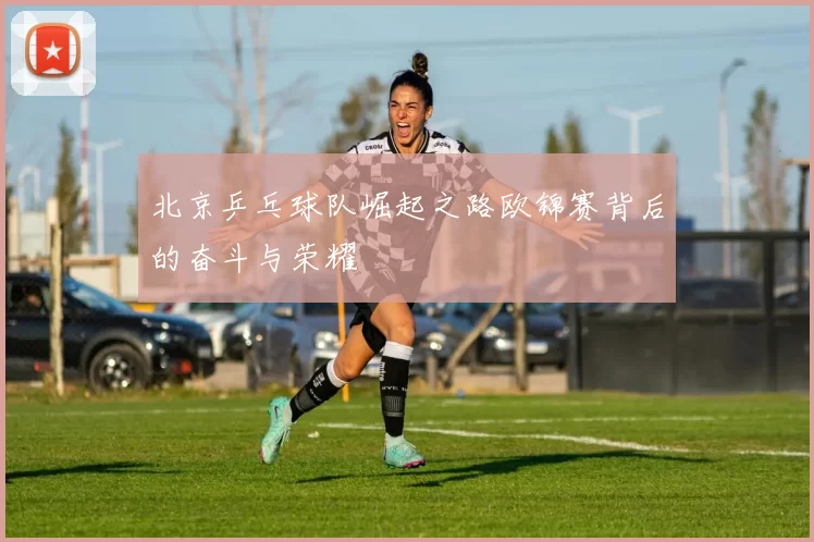 北京乒乓球队崛起之路欧锦赛背后的奋斗与荣耀