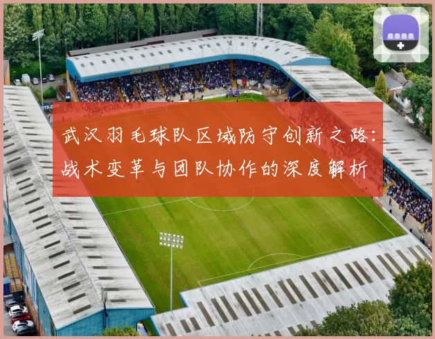 武汉羽毛球队区域防守创新之路：战术变革与团队协作的深度解析