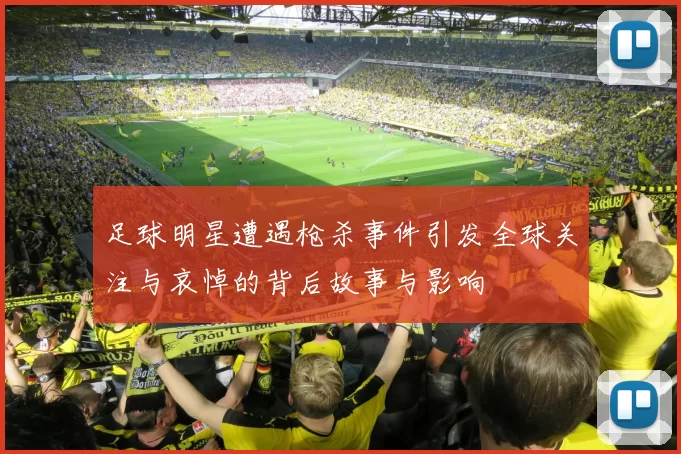 足球明星遭遇枪杀事件引发全球关注与哀悼的背后故事与影响